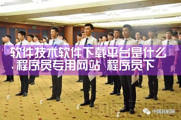 软件技术软件下载平台是什么|P站专业版