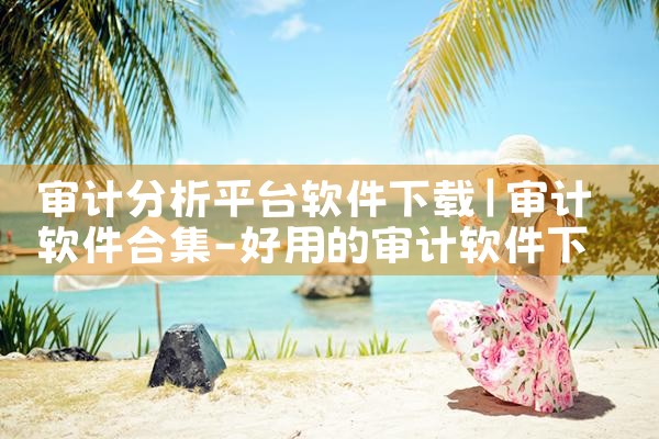 审计分析平台软件下载|MR好色