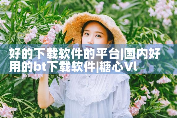 好的下载软件的平台|糖心Vlog