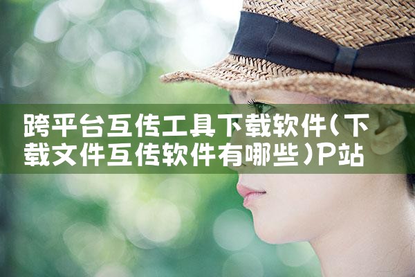 跨平台互传工具下载软件|P站专业版