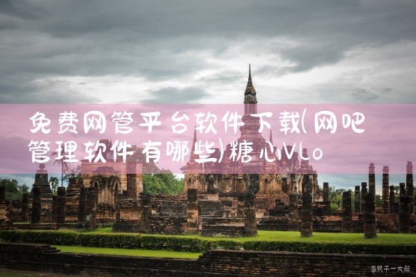 免费网管平台软件下载|糖心Vlog