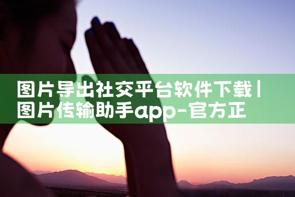 图片导出社交平台软件下载|哔咔漫画