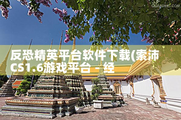 反恐精英平台软件下载|P站专业版