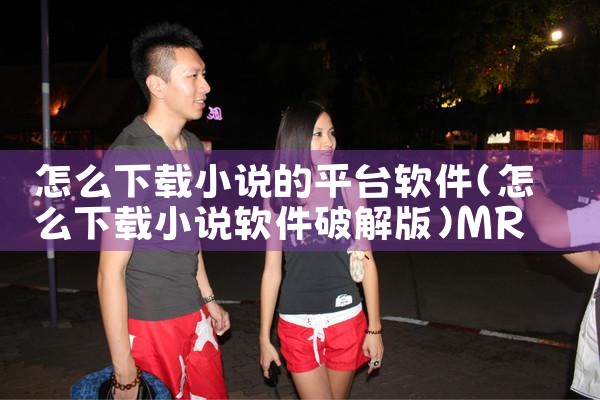 怎么下载小说的平台软件|MR好色