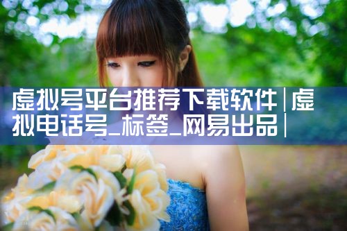 虚拟号平台推荐下载软件|P站专业版