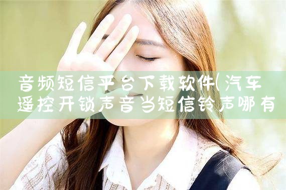 音频短信平台下载软件|P站专业版