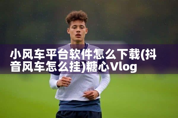小风车平台软件怎么下载|糖心Vlog