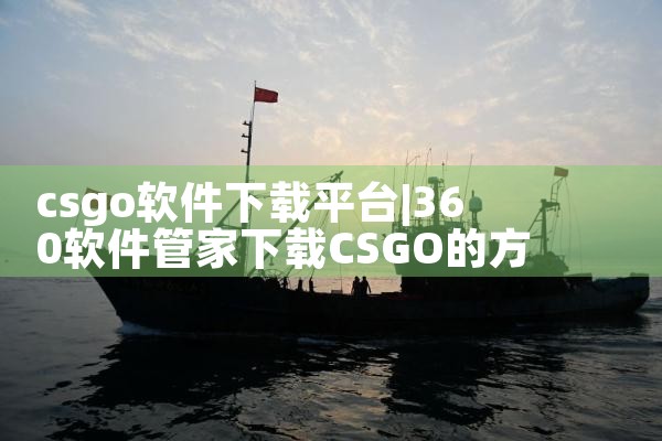 csgo软件下载平台|小蓝视频