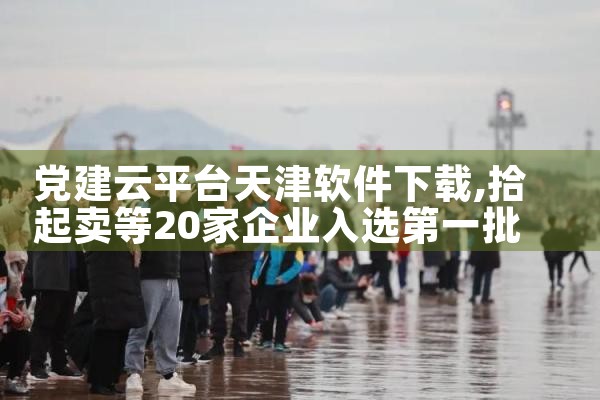 党建云平台天津软件下载|P站专业版