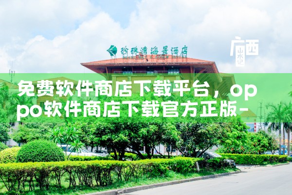 免费软件商店下载平台|P站专业版