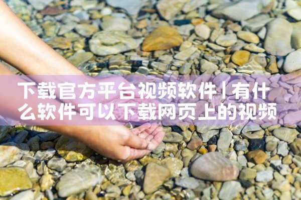 下载官方平台视频软件|P站专业版