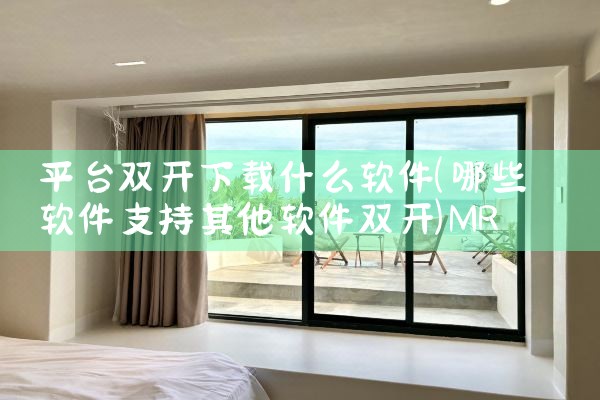 平台双开下载什么软件|MR好色