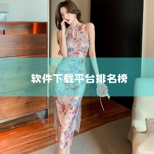电脑软件下载平台哪个好,手机应用排行,糖心Vlog