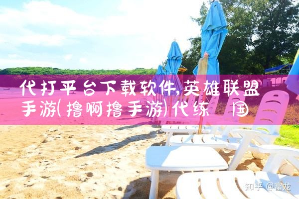 代打平台下载软件|MR好色